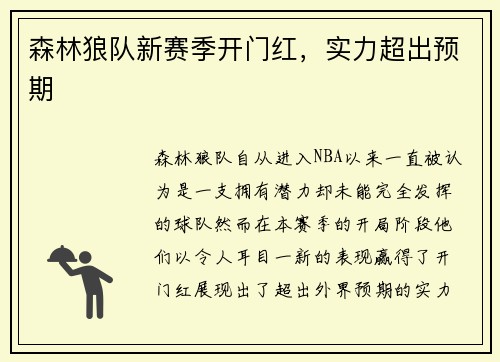 森林狼队新赛季开门红，实力超出预期
